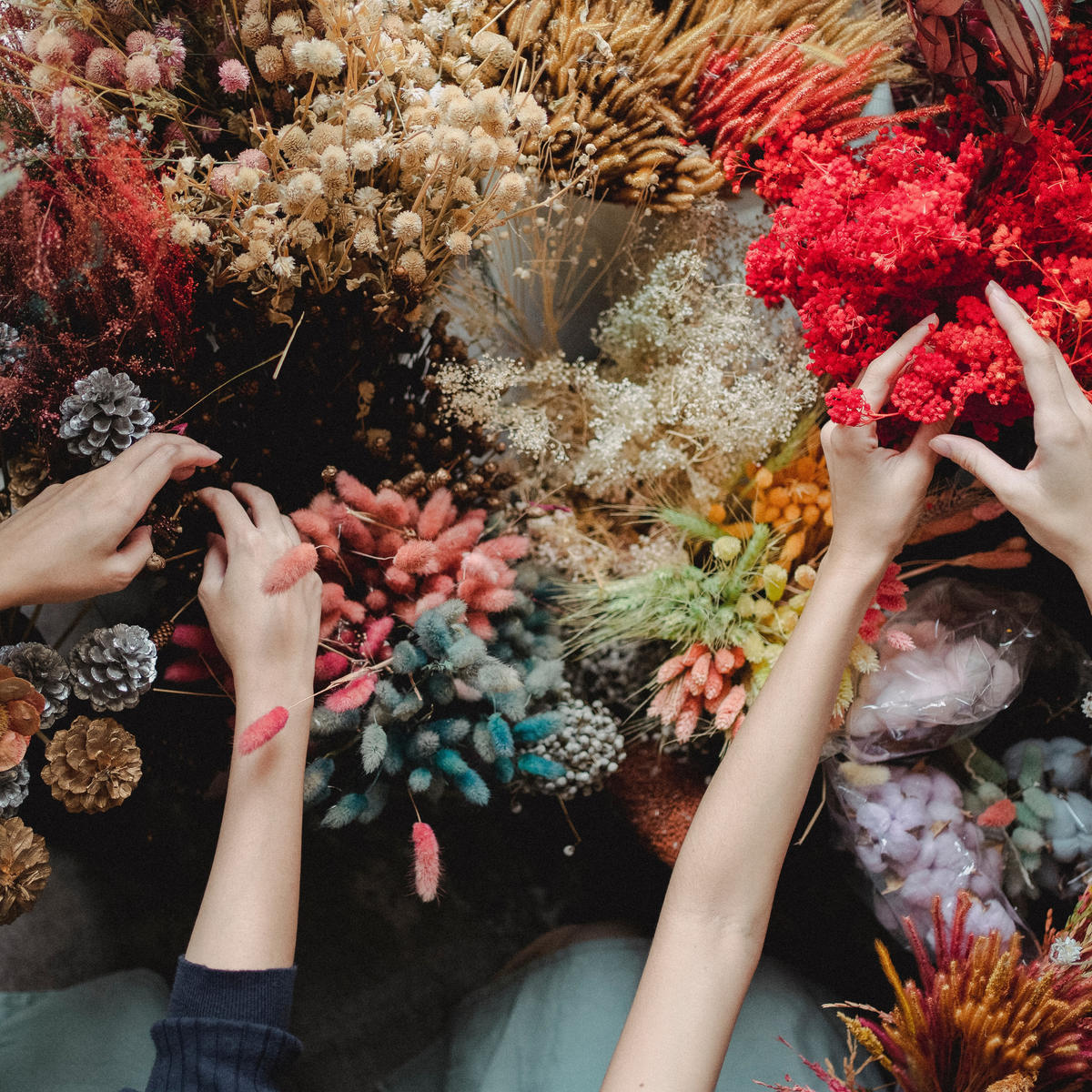Preserved Flowers vs. Fresh Flowers