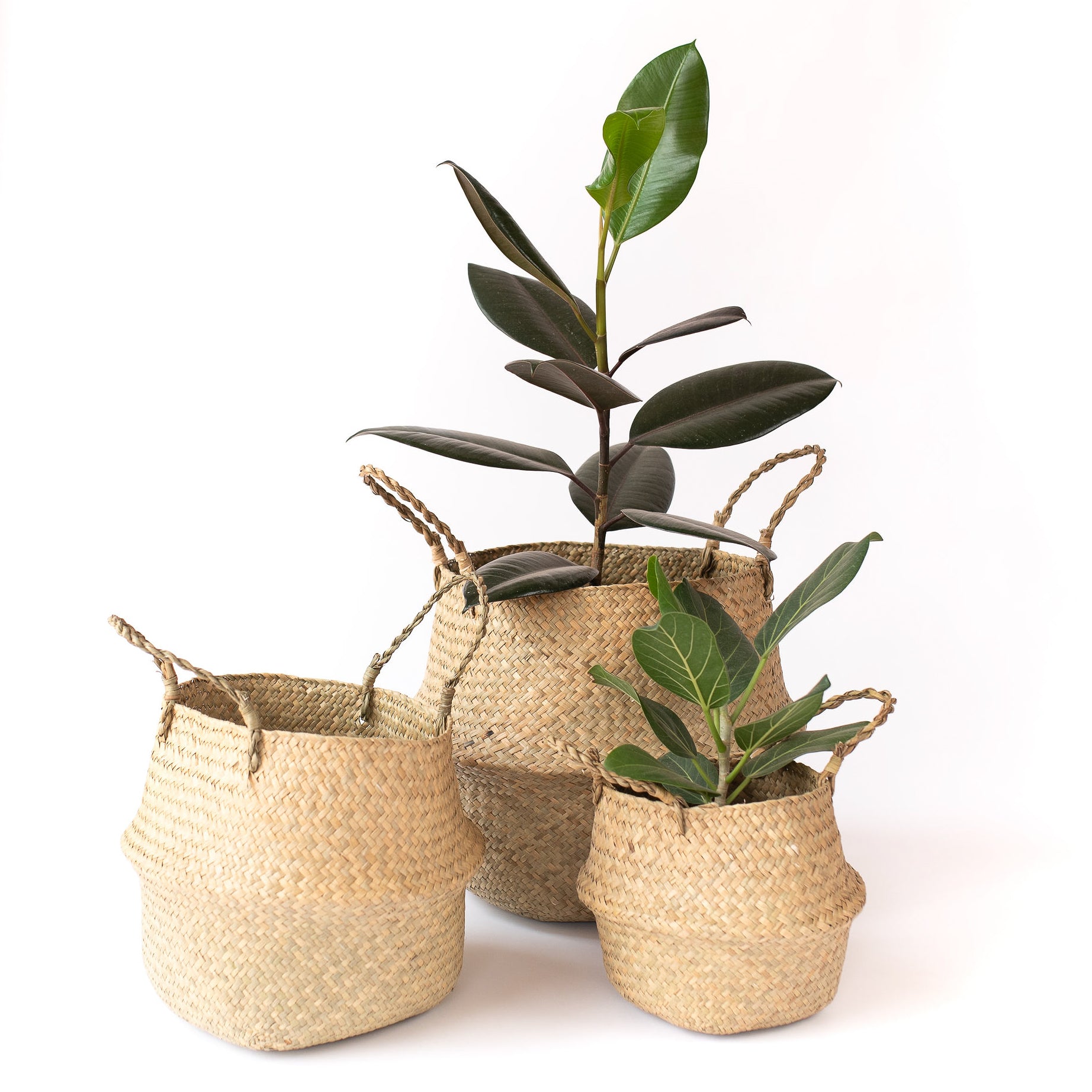 Baskets & Planters