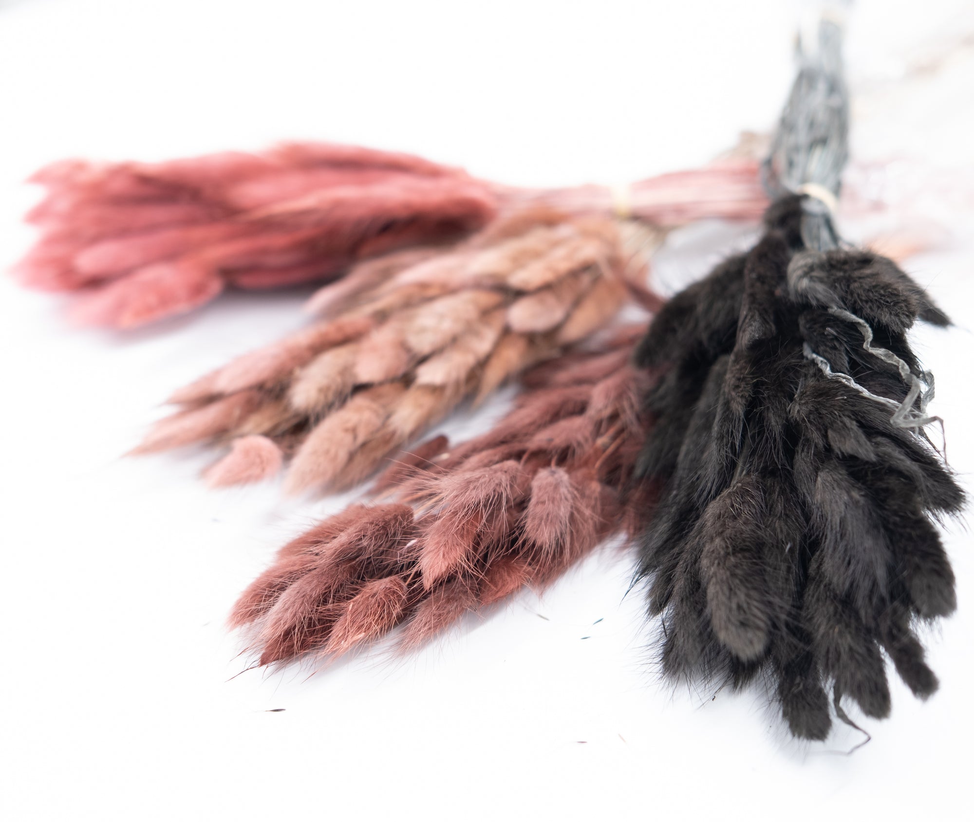 Bunny Tails