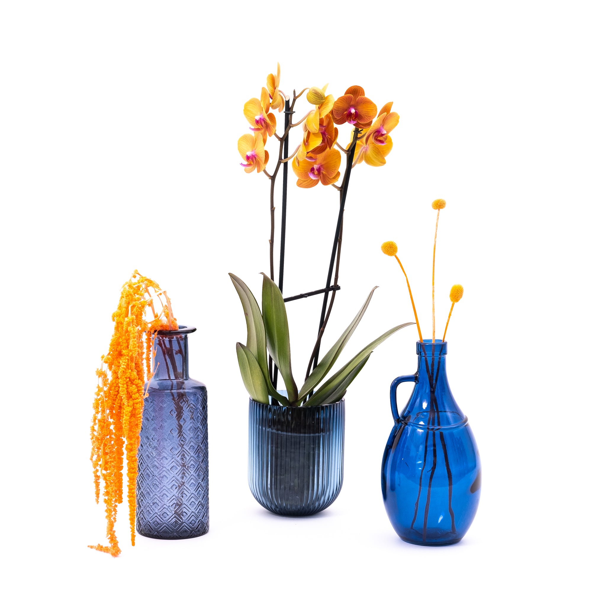 Glass Vases