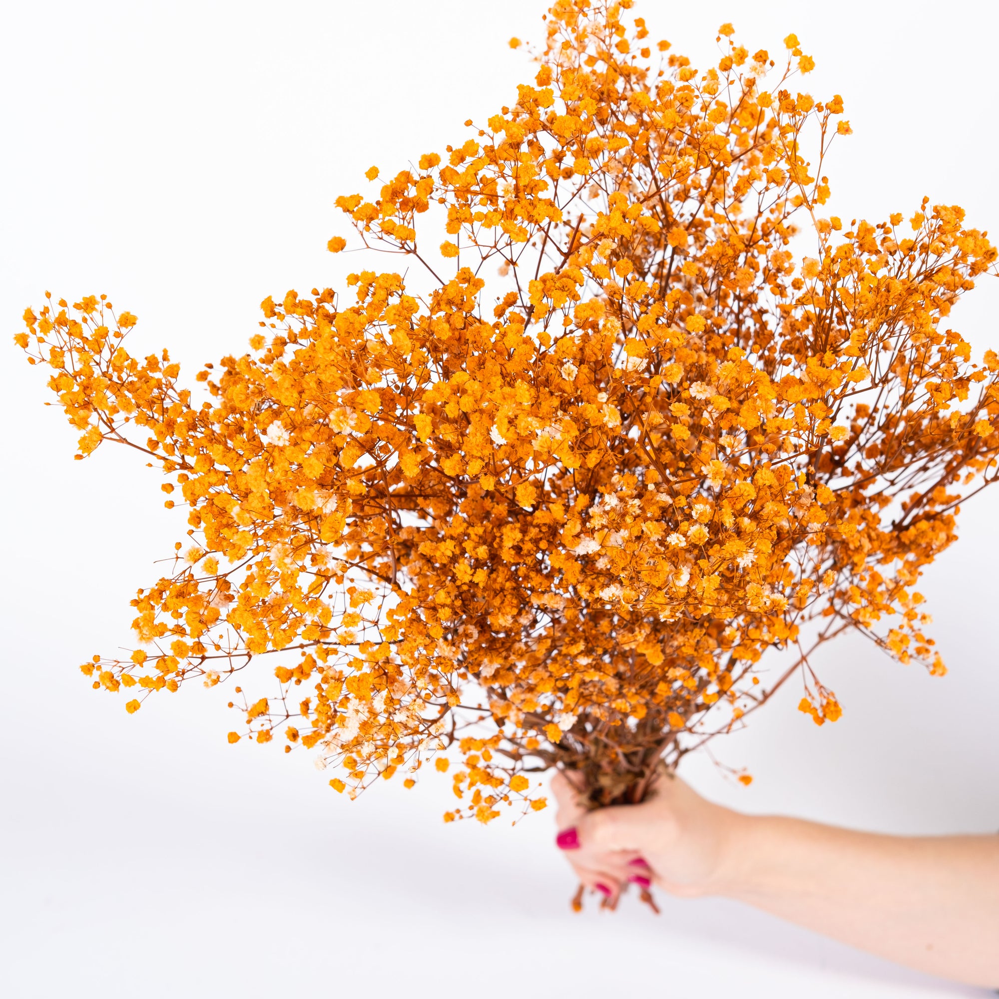Orange & Rust Flowers