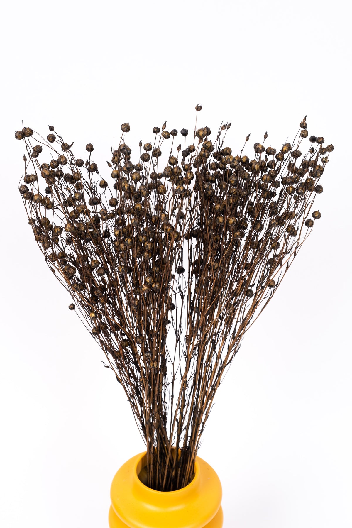 Black Flax