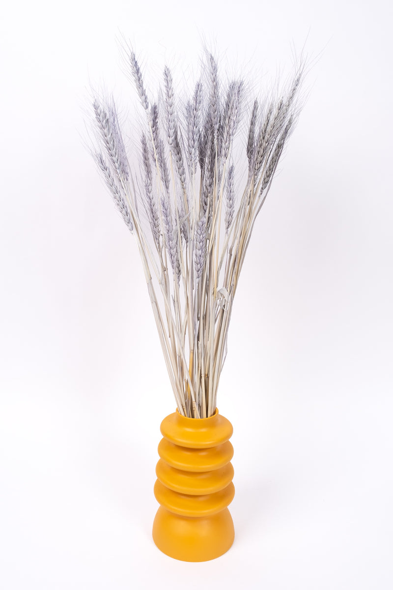 Soft Grey Wheat