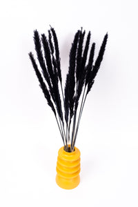 Black Mini Pampas