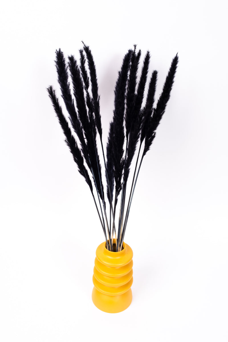 Black Mini Pampas