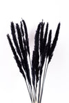 Black Mini Pampas