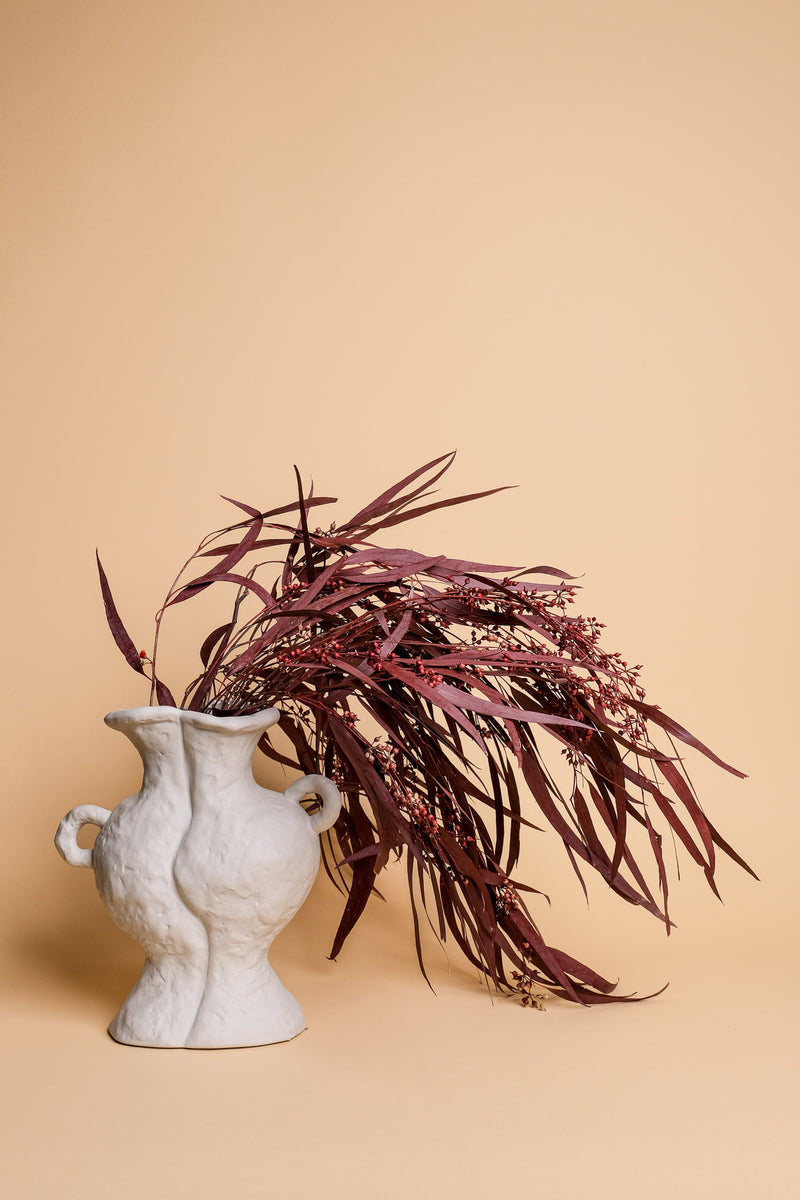 Burgundy Seeded Gum (Pennygum)