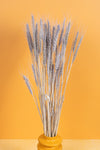 Soft Grey Wheat