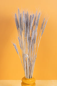 Soft Grey Wheat