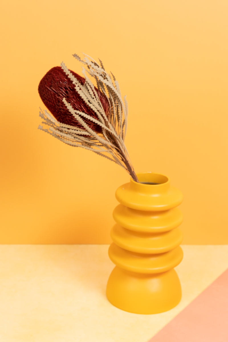 Red Preserved Banksia