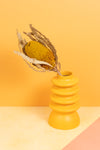 Yellow Banksia