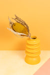 Yellow Banksia
