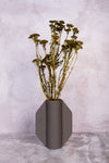 Moss Green Klaas Louw