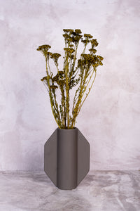 Moss Green Klaas Louw