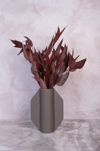 Burgundy Willow