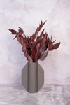 Burgundy Willow