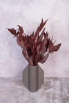 Burgundy Willow