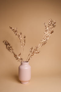 Gold Italian Ruscus