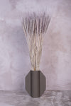 Soft Grey Wheat
