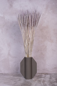 Soft Grey Wheat