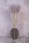 Soft Grey Wheat