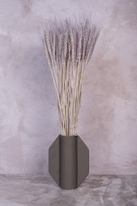 Soft Grey Wheat