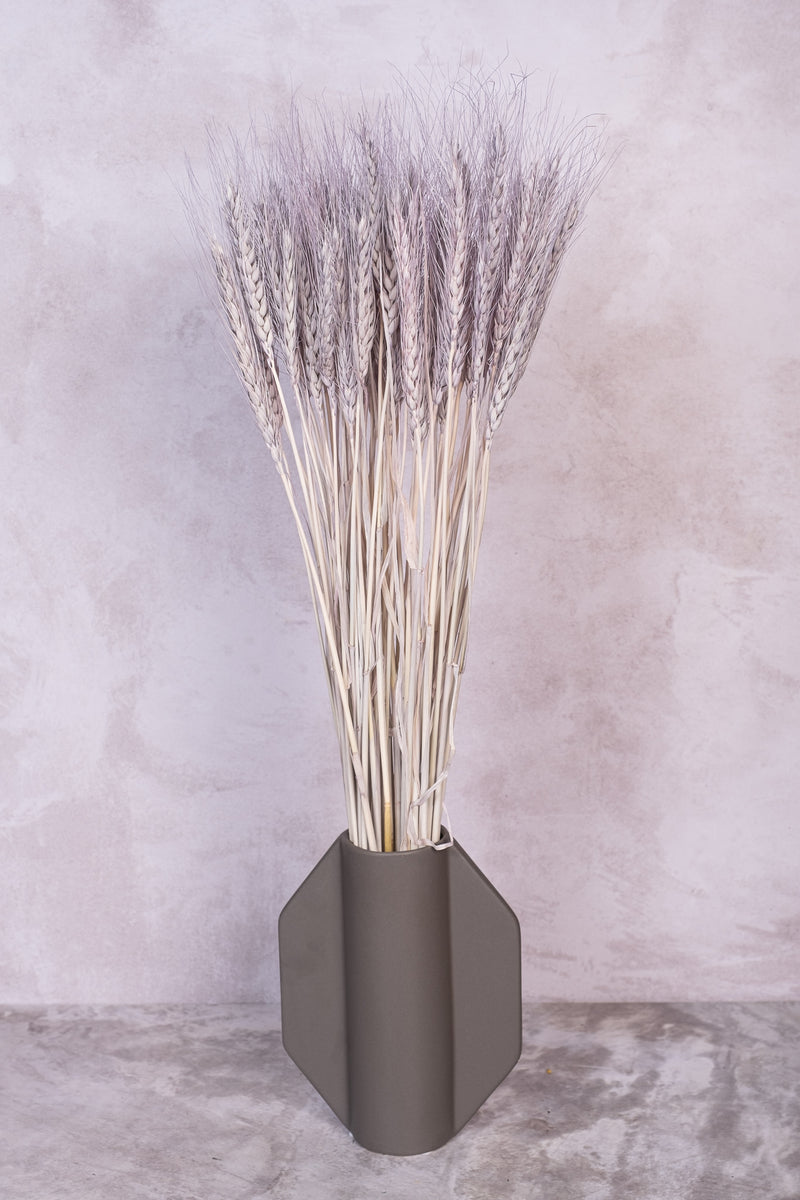 Soft Grey Wheat