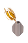 Yellow Banksia