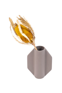 Yellow Banksia