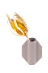 Yellow Banksia