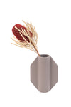 Red Preserved Banksia