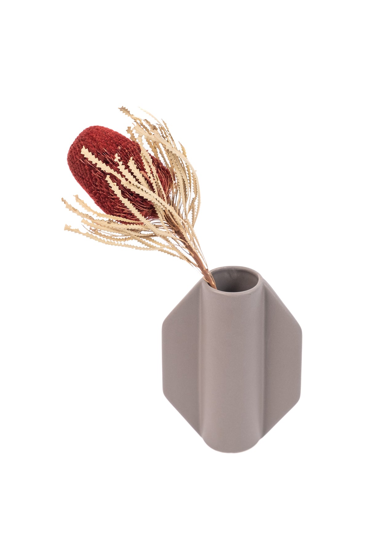 Red Preserved Banksia