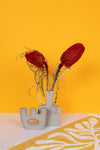 Red Preserved Banksia