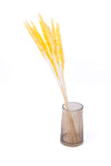 Yellow Mini Pampas