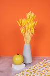 Sunny Yellow Bunny Tails