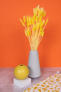 Sunny Yellow Bunny Tails