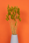 Chartreuse Green Bunny Tails