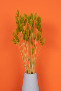 Chartreuse Green Bunny Tails
