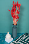 Red Bunny Tails