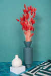 Red Bunny Tails