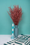 Red Lattifolia (Limonium)(Per Bunch)