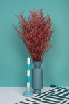 Red Lattifolia (Limonium)(Per Bunch)