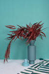 Burgundy Seeded Gum (Pennygum)