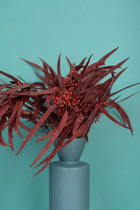 Burgundy Seeded Gum (Pennygum)