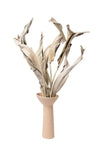 Earthy Green Strelitzia (Bird of Paradise)
