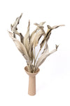 Earthy Green Strelitzia (Bird of Paradise)