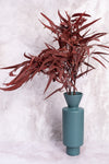 Burgundy Seeded Gum (Pennygum)