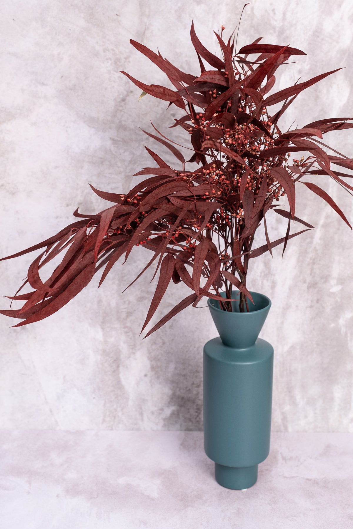 Burgundy Seeded Gum (Pennygum)