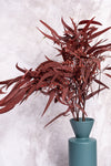 Burgundy Seeded Gum (Pennygum)