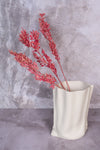 Pink Italian Ruscus